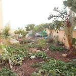 Casa Nea ホームステイ *