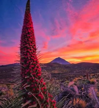 Casa Nea * El Rosario (Tenerife)