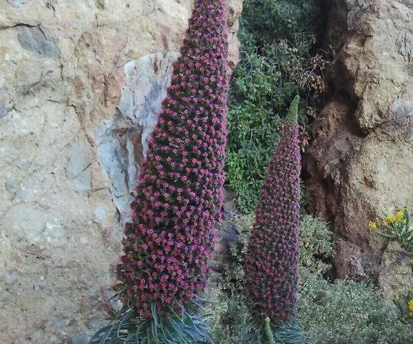 منزل للإقامة Casa Nea *