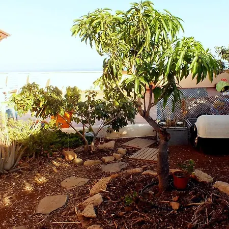 Casa Nea * El Rosario