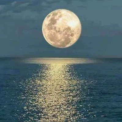 Casa Nea ホームステイ El Rosario