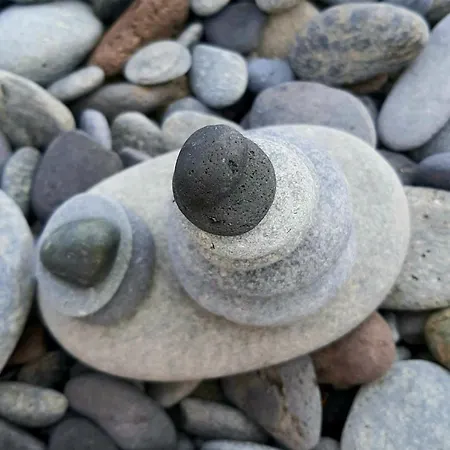 Casa Nea ホームステイ *