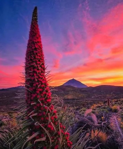 Casa Nea * El Rosario (Tenerife)