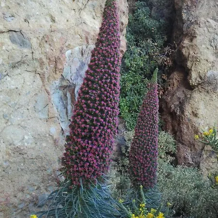 Kwatera prywatna Casa Nea *