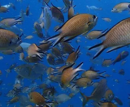 Casa Nea 홈스테이 El Rosario (Tenerife)