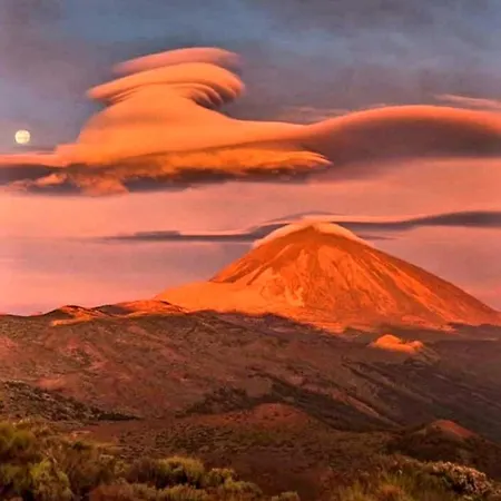 홈스테이 Casa Nea